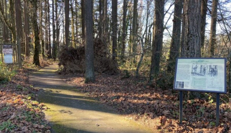 Willamette Stone State Heritage Site, Oregon, USA